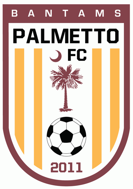 palmetto fc bantams 2012-pres primary Logo t shirt iron on transfers